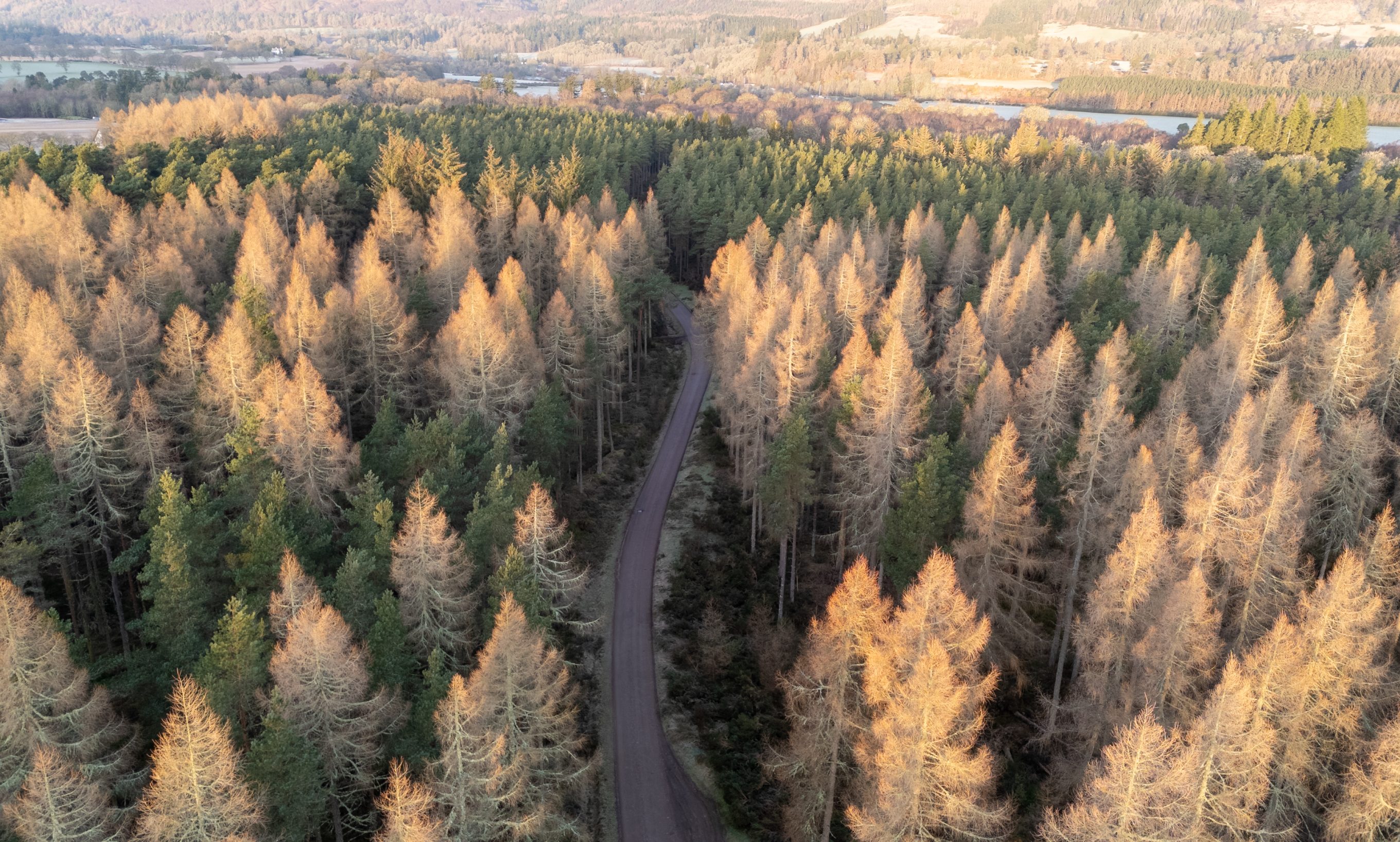 Road leading to MAKAR prototype and workshop photocredit hsbcad